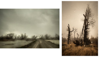 The End Sends Advance Warning by Todd Hido - Tipi bookshop