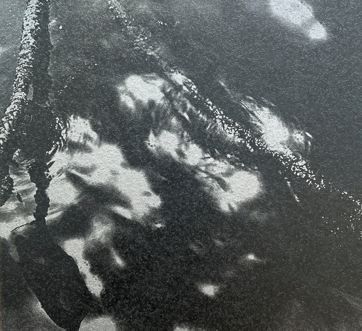 1980s Remnants by Daido Moriyama - Tipi bookshop