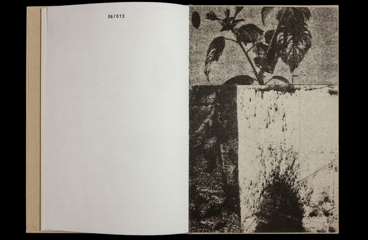 36 Potplants by WYSOCKA / POGO - Tipi bookshop