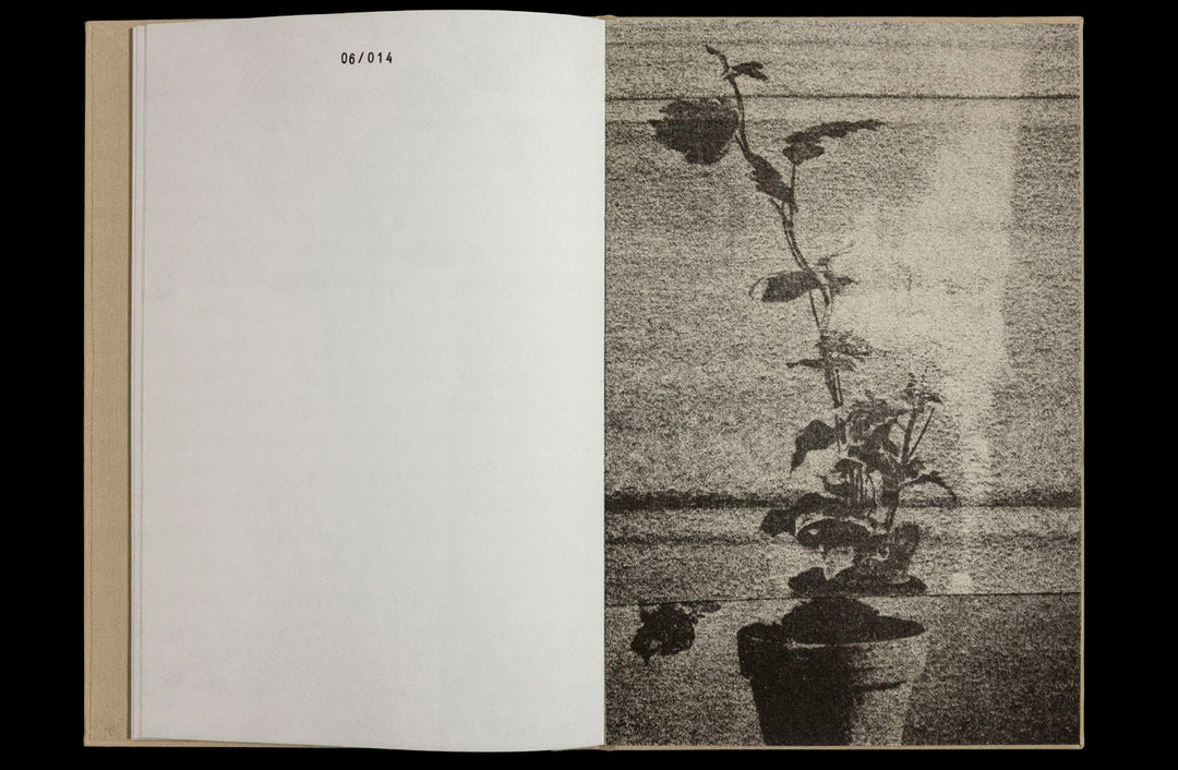 36 Potplants by WYSOCKA / POGO - Tipi bookshop