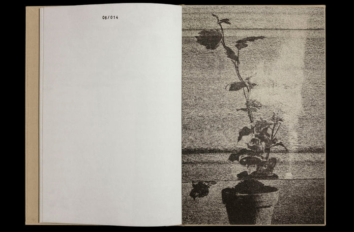 36 Potplants by WYSOCKA / POGO - Tipi bookshop