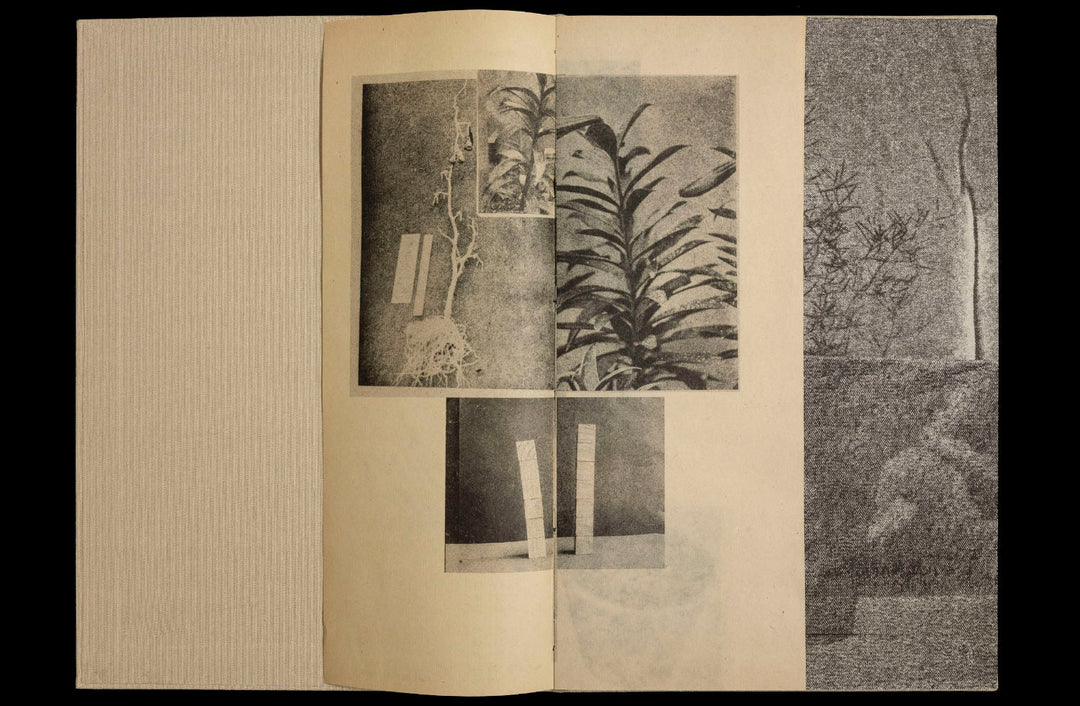 36 Potplants by WYSOCKA / POGO - Tipi bookshop