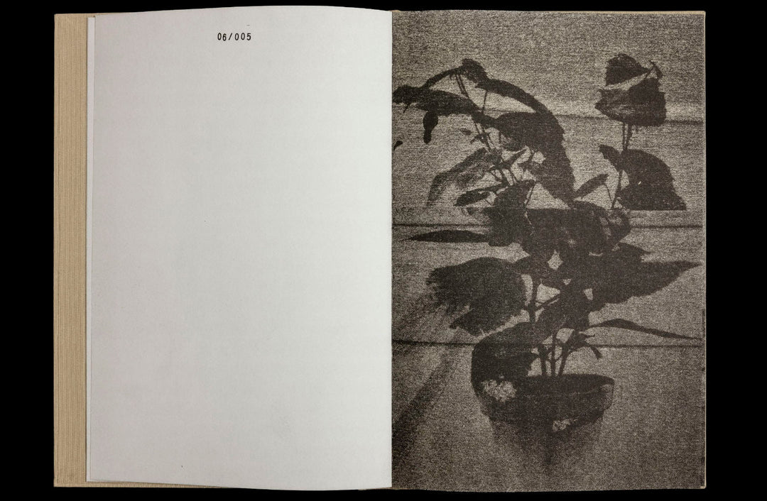 36 Potplants by WYSOCKA / POGO - Tipi bookshop