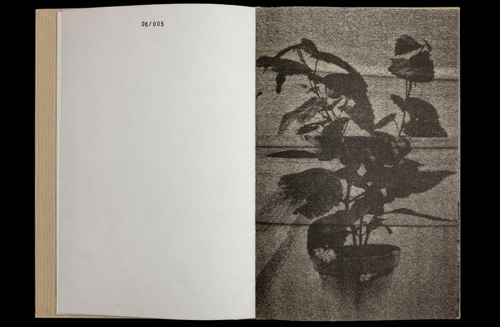 36 Potplants by WYSOCKA / POGO - Tipi bookshop