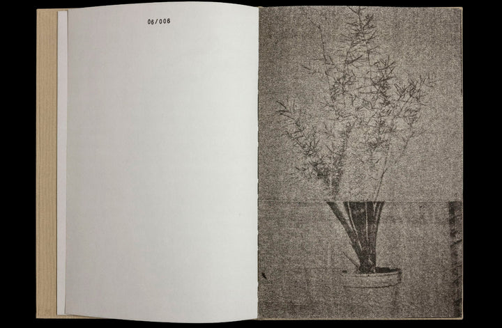 36 Potplants by WYSOCKA / POGO - Tipi bookshop