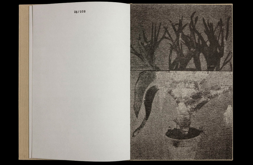 36 Potplants by WYSOCKA / POGO - Tipi bookshop