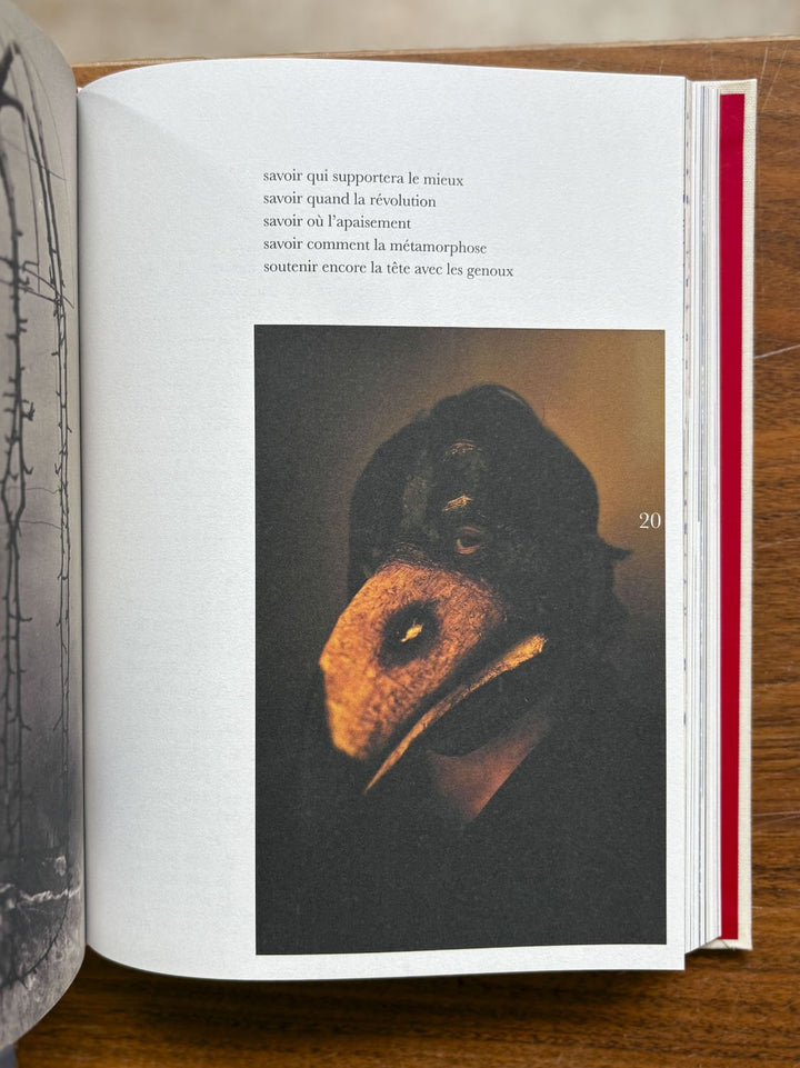 365 de Perrine Le Querrec et Mathieu Farcy - Tipi bookshop