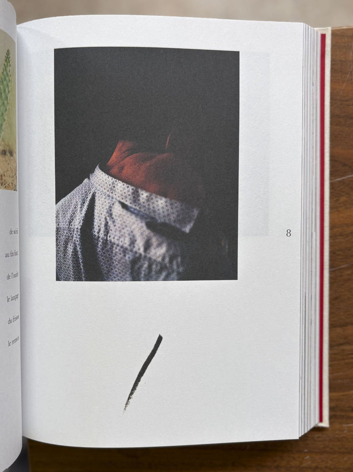 365 de Perrine Le Querrec et Mathieu Farcy - Tipi bookshop
