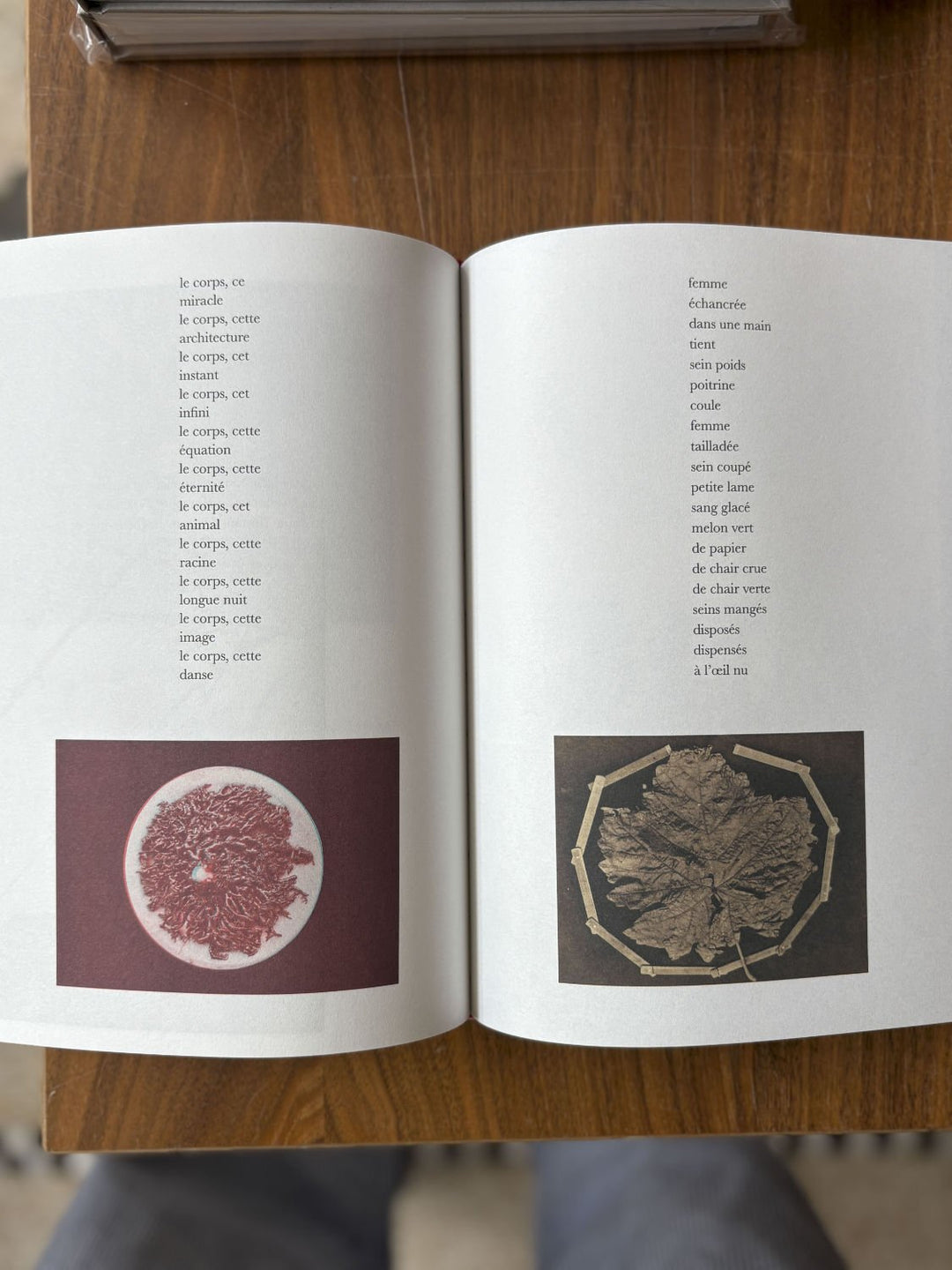 365 de Perrine Le Querrec et Mathieu Farcy - Tipi bookshop