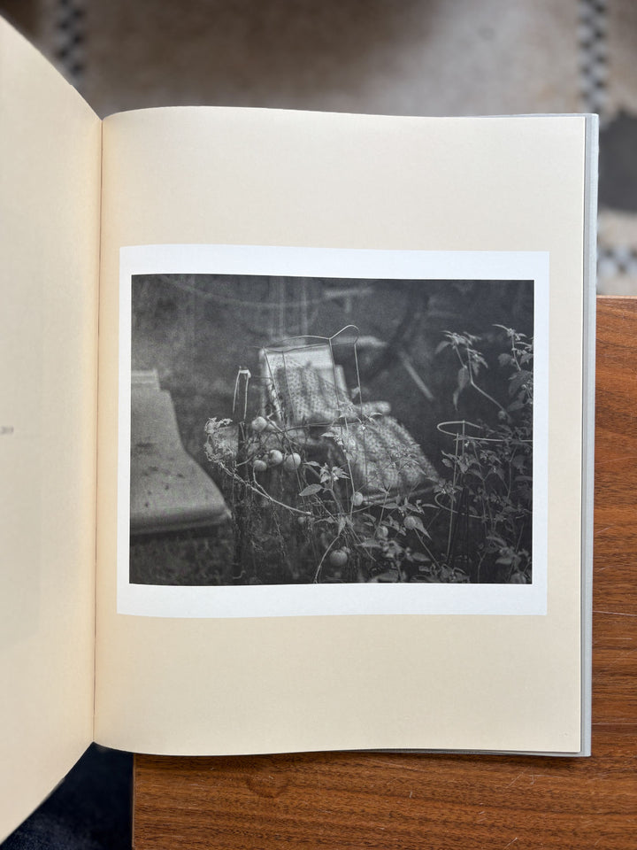 A common place by Raymond Meeks