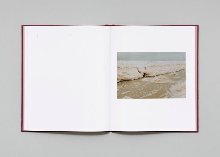 In Passing by Lisa Sorgini