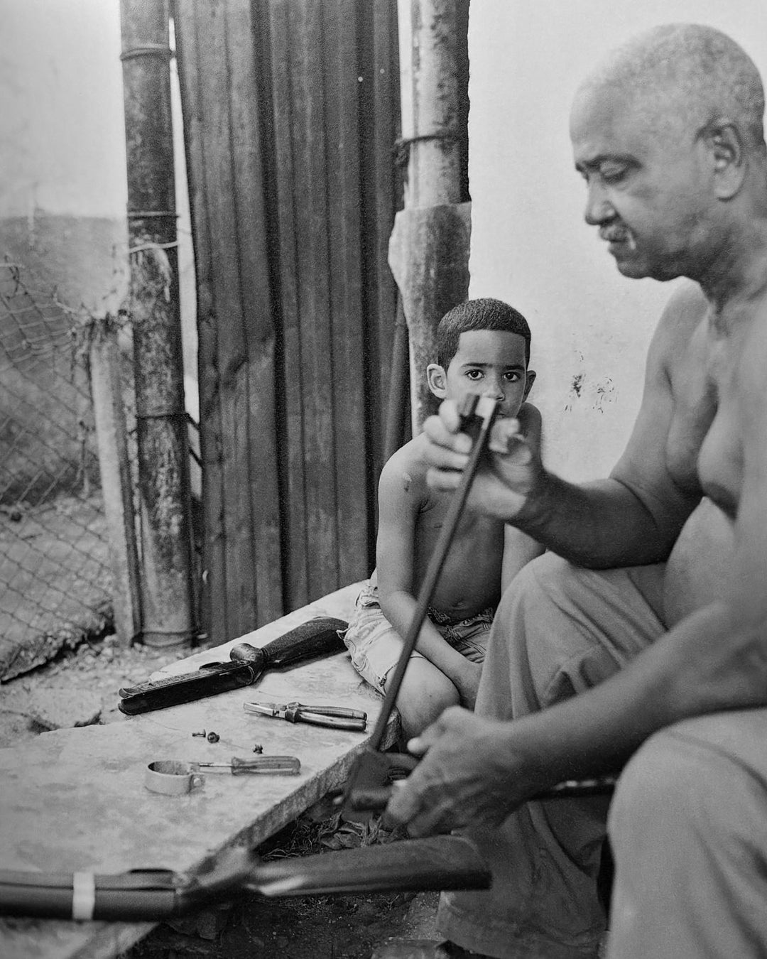 Mango Season by Jenia Fridlyand