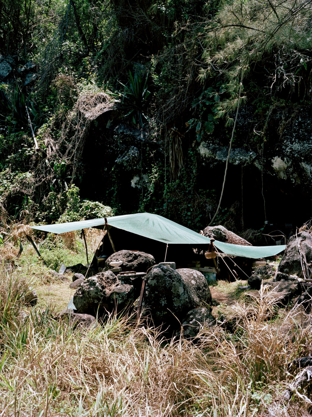 Péi Brilé / Pays brûlé / Burnt Land by Maxime Brygo