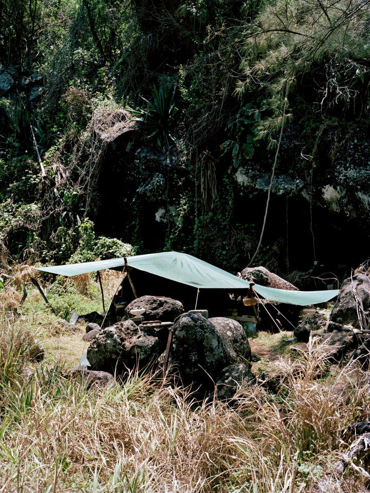 Péi Brilé / Pays brûlé / Burnt Land by Maxime Brygo