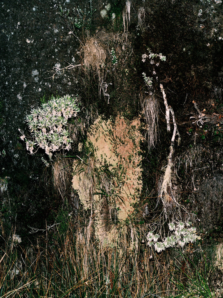 Péi Brilé / Pays brûlé / Burnt Land by Maxime Brygo