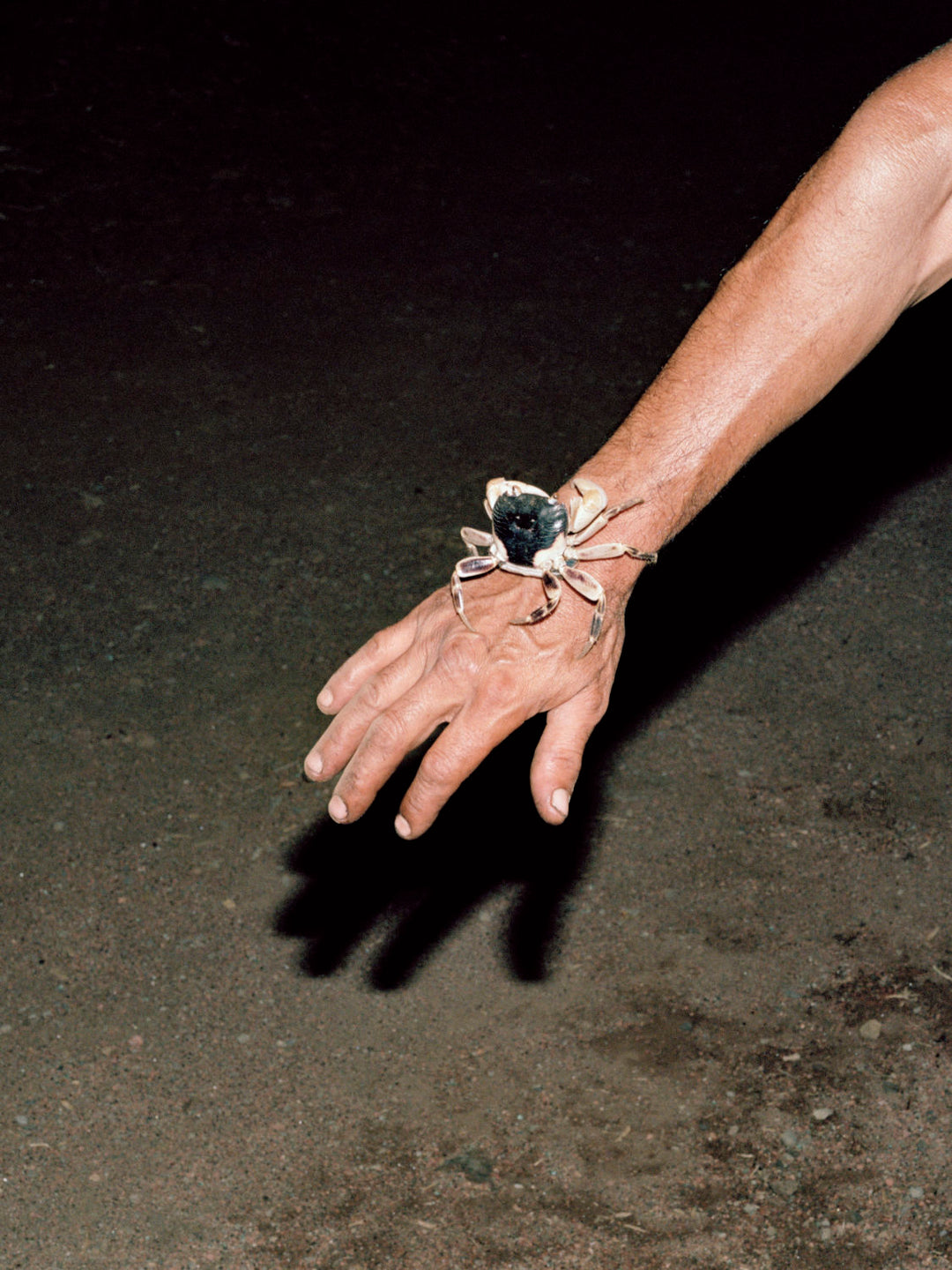 Péi Brilé / Pays brûlé / Burnt Land by Maxime Brygo