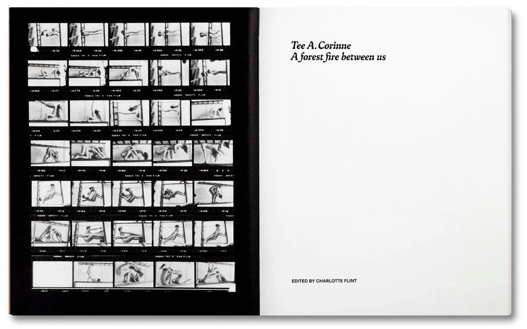 A forest fire between us by Tee A. Corinne - Tipi bookshop