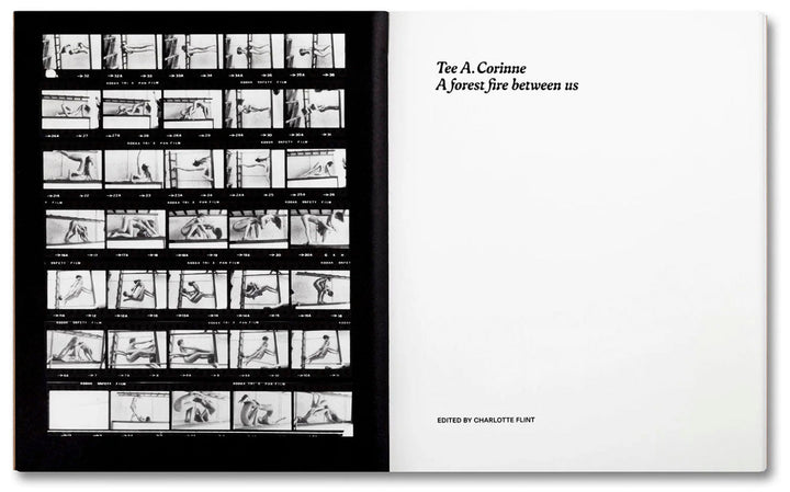 A forest fire between us by Tee A. Corinne - Tipi bookshop
