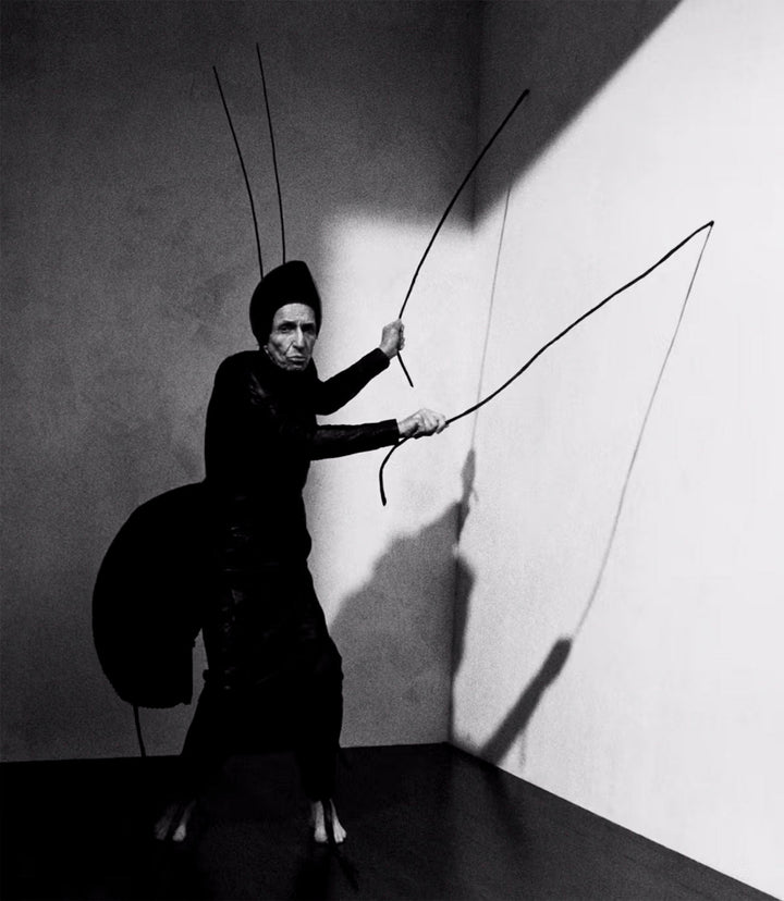 A is for Ant by Jack Davison - Tipi bookshop