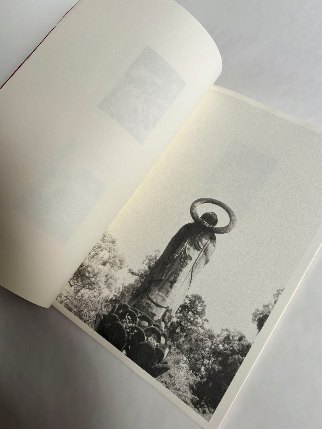 A Lily's Wrath by Carl Krow - Tipi bookshop