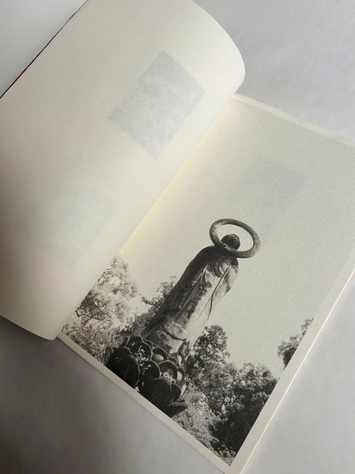 A Lily's Wrath by Carl Krow - Tipi bookshop