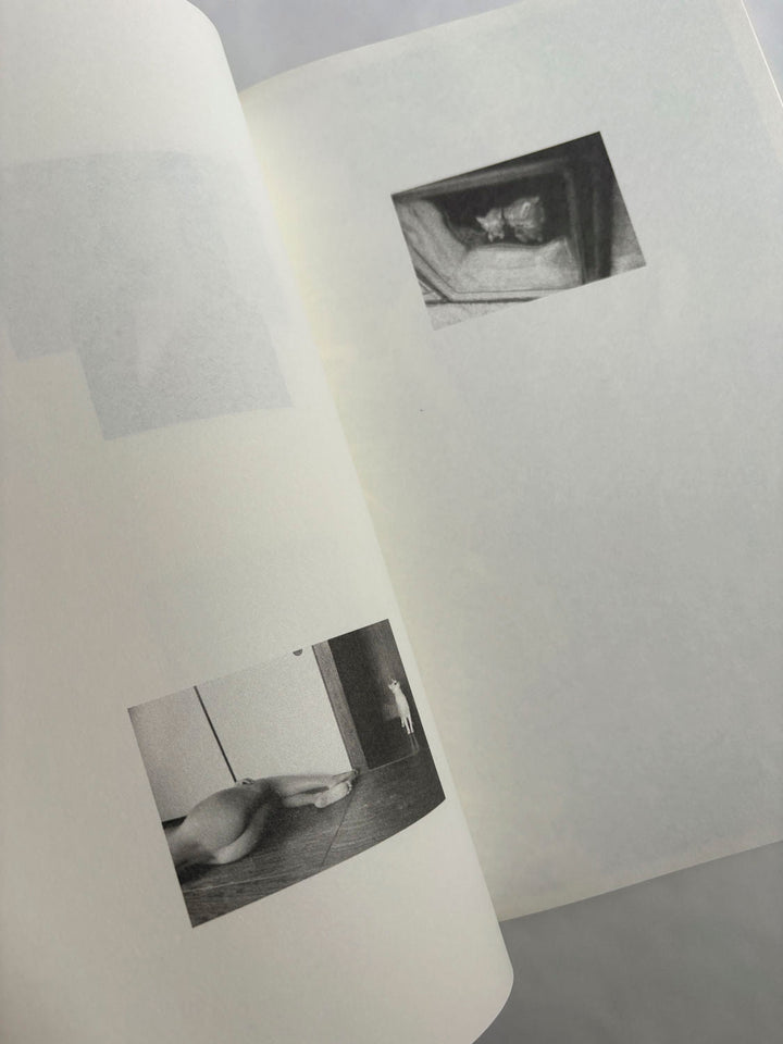 A Lily's Wrath by Carl Krow - Tipi bookshop