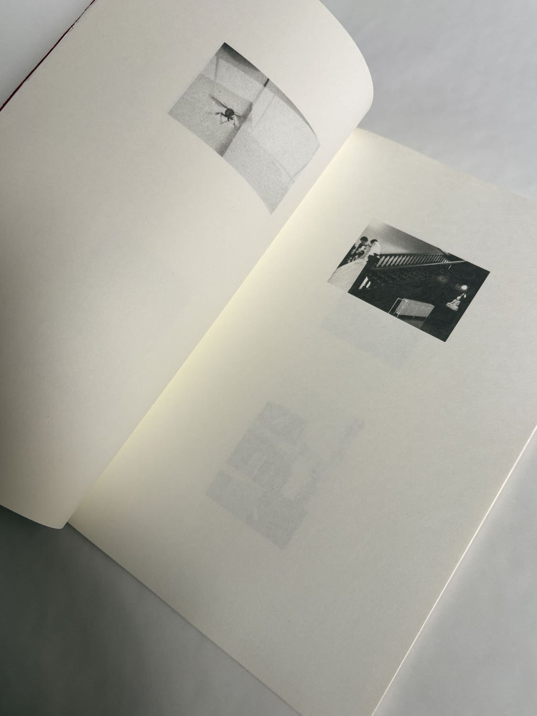 A Lily's Wrath by Carl Krow - Tipi bookshop