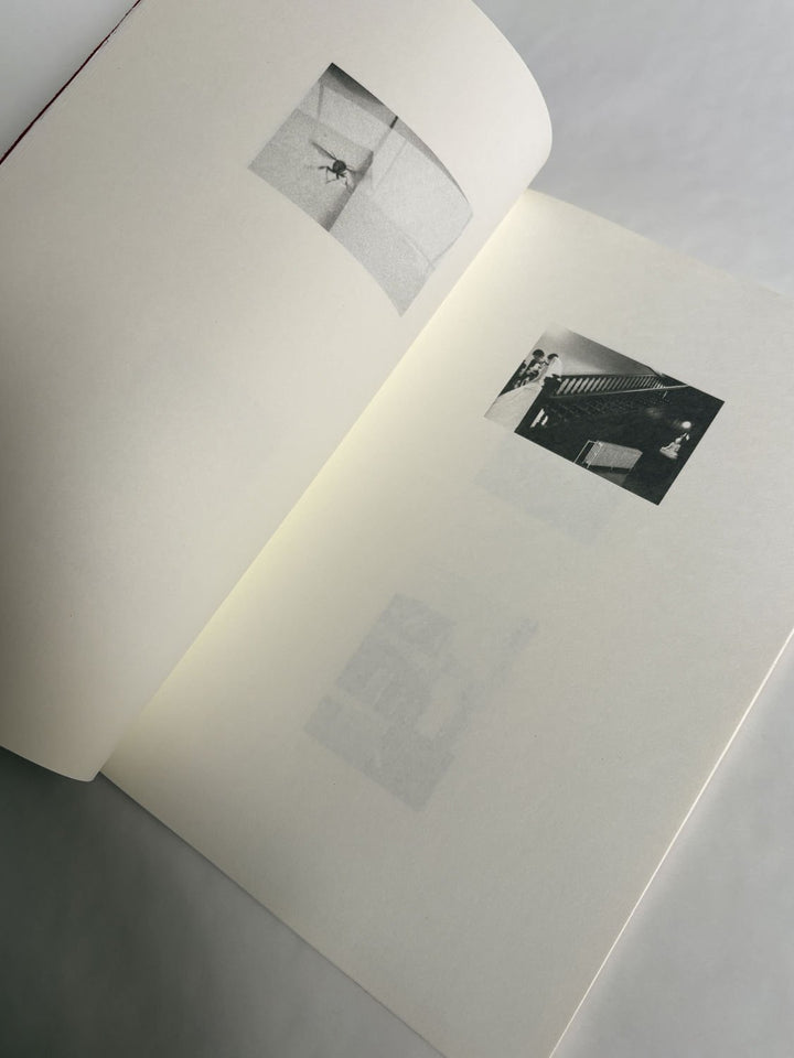 A Lily's Wrath by Carl Krow - Tipi bookshop