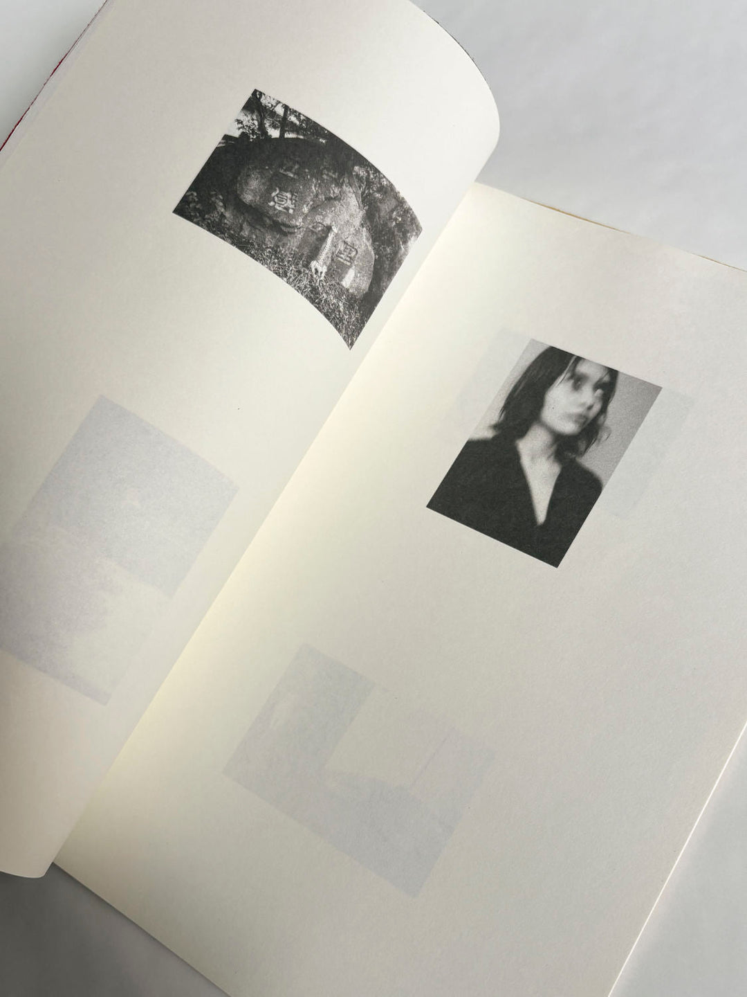 A Lily's Wrath by Carl Krow - Tipi bookshop