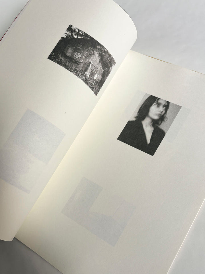 A Lily's Wrath by Carl Krow - Tipi bookshop