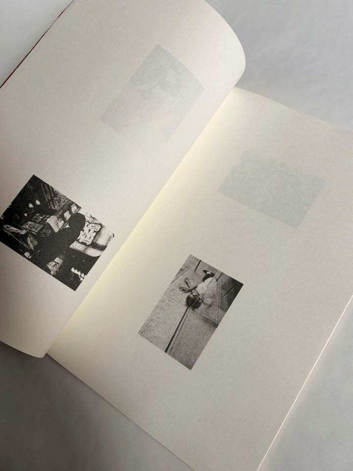 A Lily's Wrath by Carl Krow - Tipi bookshop