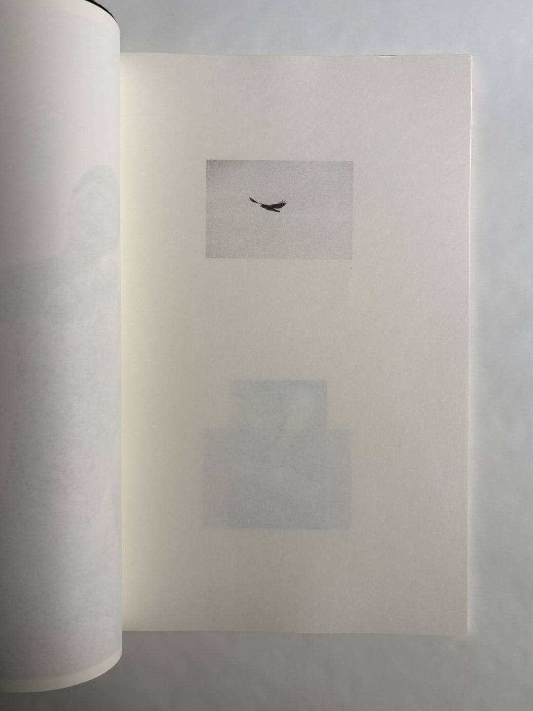 A Lily's Wrath by Carl Krow - Tipi bookshop