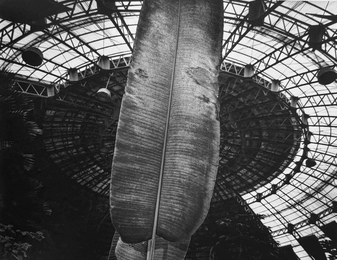 A Long Interview with Kozo Miyoshi by Kozo Miyoshi - Tipi bookshop