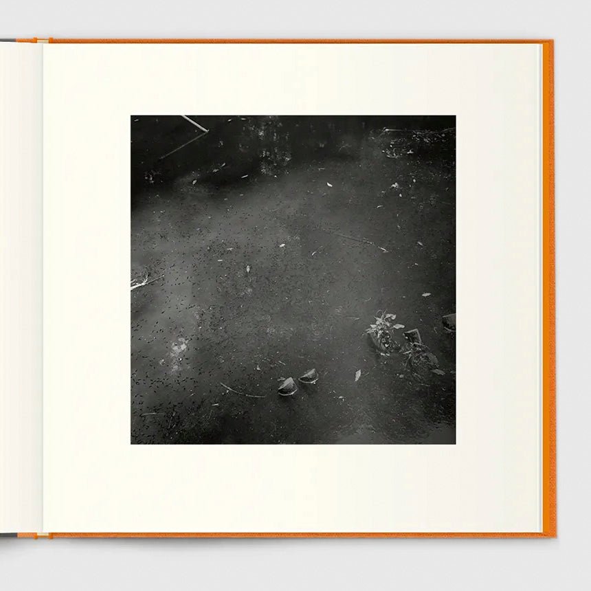 A Long Interview with Kozo Miyoshi by Kozo Miyoshi - Tipi bookshop