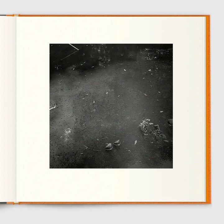 A Long Interview with Kozo Miyoshi by Kozo Miyoshi - Tipi bookshop