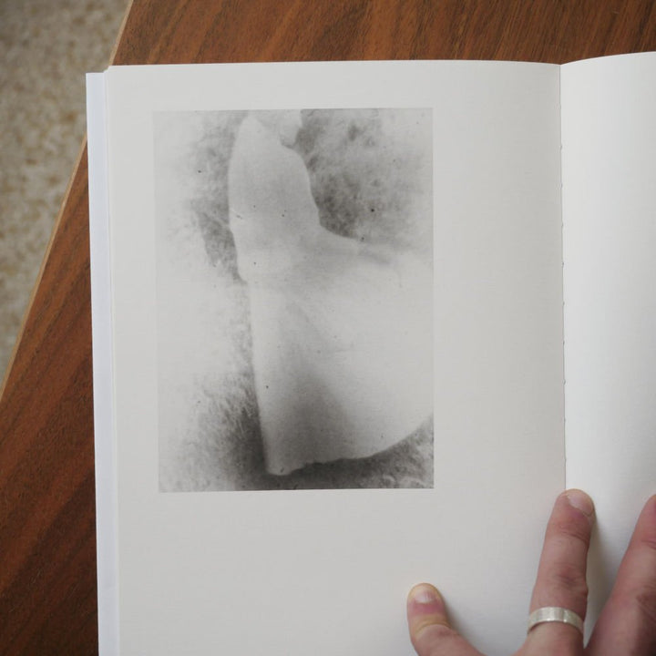 A Summer Of A Thousand Years by Martin Bogren - Tipi bookshop