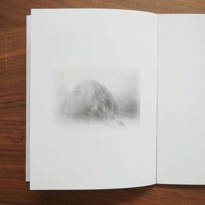 A Summer Of A Thousand Years by Martin Bogren - Tipi bookshop