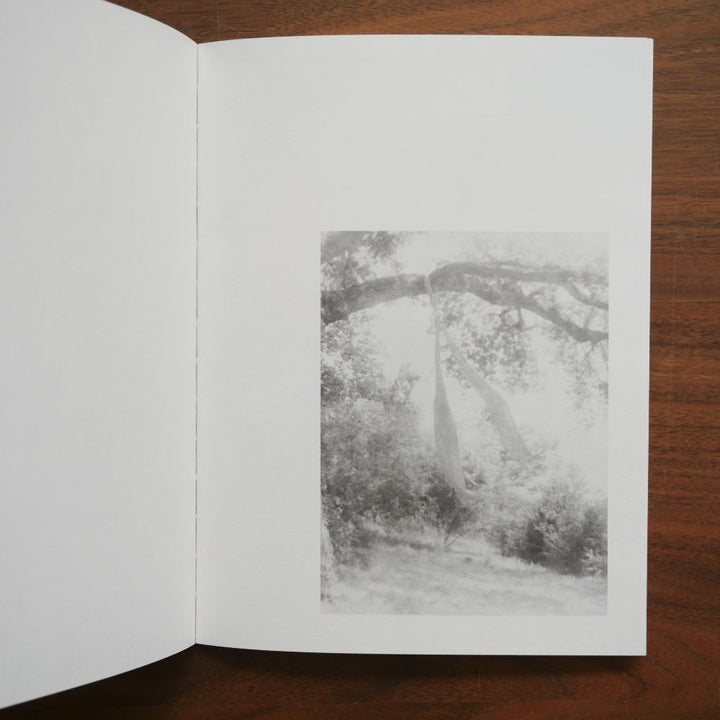 A Summer Of A Thousand Years by Martin Bogren - Tipi bookshop