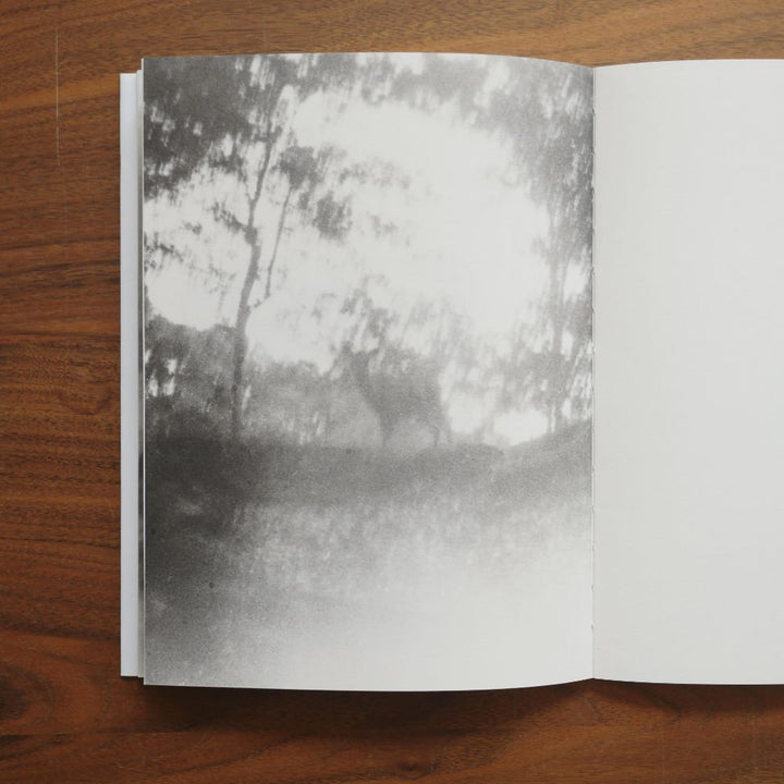 A Summer Of A Thousand Years by Martin Bogren - Tipi bookshop