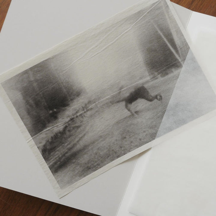 A Summer Of A Thousand Years by Martin Bogren - Tipi bookshop