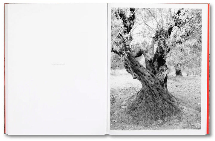 Anchor in the Landscape by Adam Broomberg & Rafael Gonzalez - Tipi bookshop