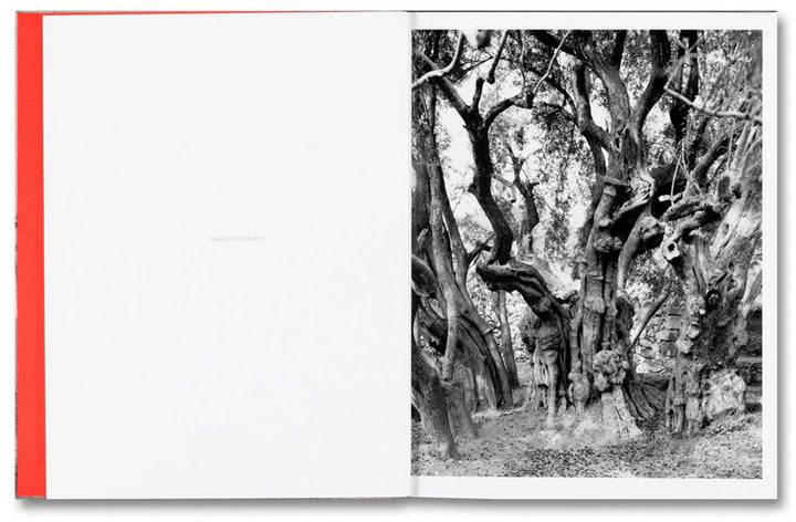 Anchor in the Landscape by Adam Broomberg & Rafael Gonzalez - Tipi bookshop
