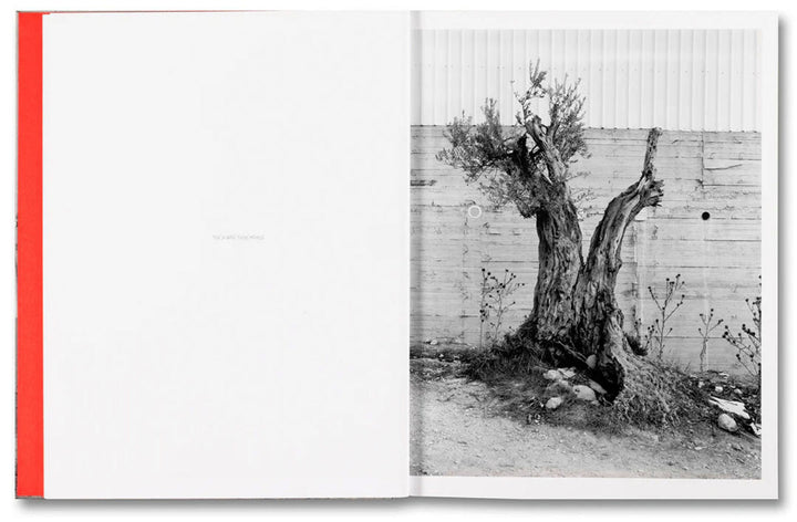 Anchor in the Landscape by Adam Broomberg & Rafael Gonzalez - Tipi bookshop