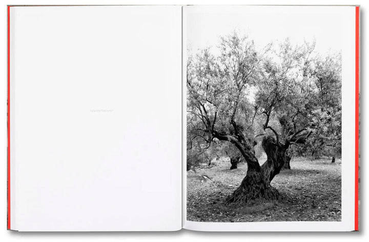 Anchor in the Landscape by Adam Broomberg & Rafael Gonzalez - Tipi bookshop
