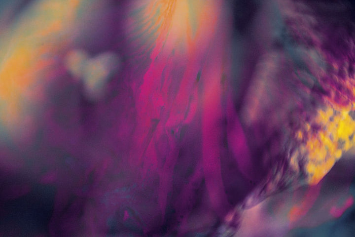Antidotum by saskia vanderheyden - Tipi bookshop