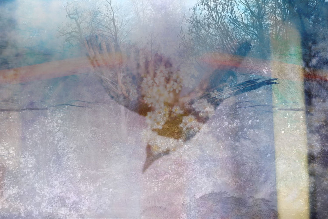 Antidotum by saskia vanderheyden - Tipi bookshop