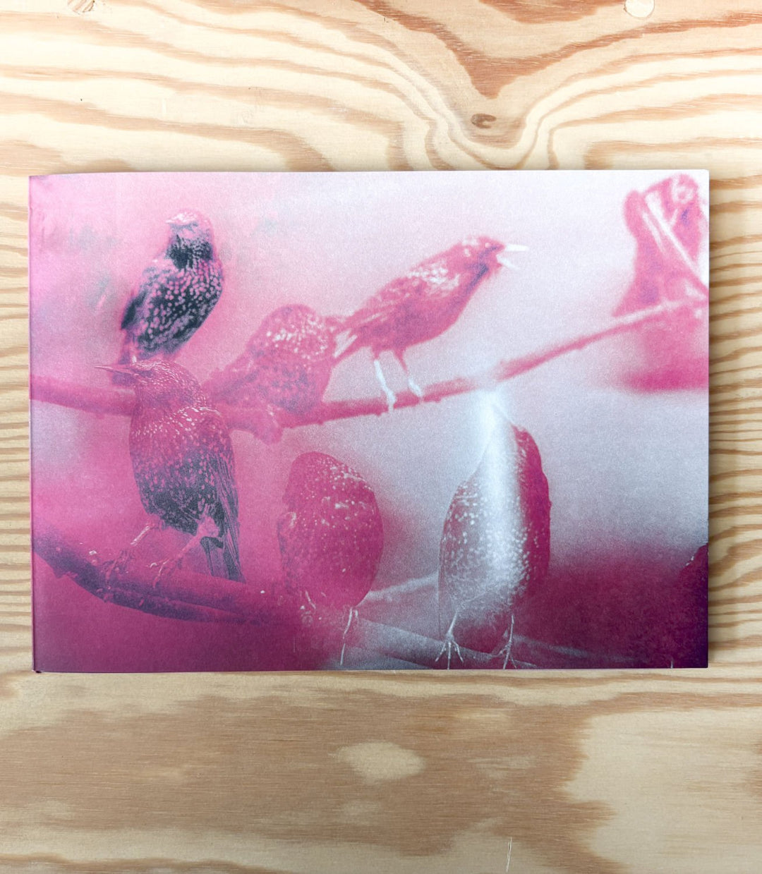 Antidotum by saskia vanderheyden - Tipi bookshop