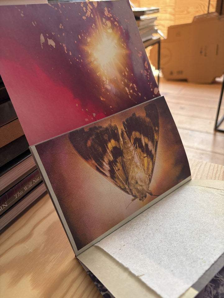 Antidotum by saskia vanderheyden - Tipi bookshop
