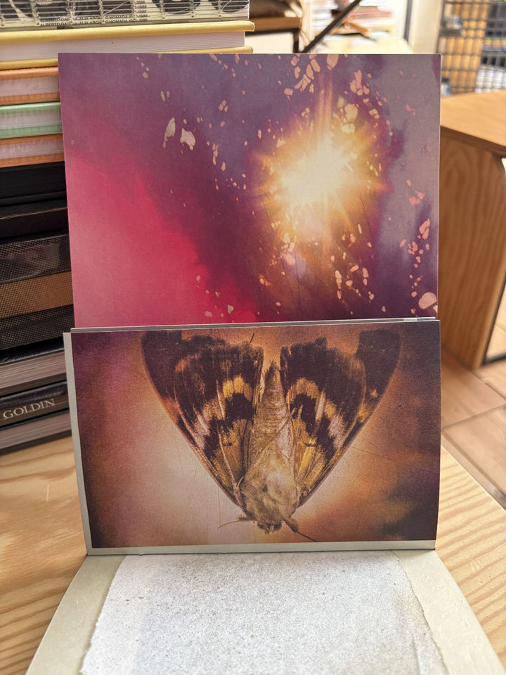 Antidotum by saskia vanderheyden - Tipi bookshop