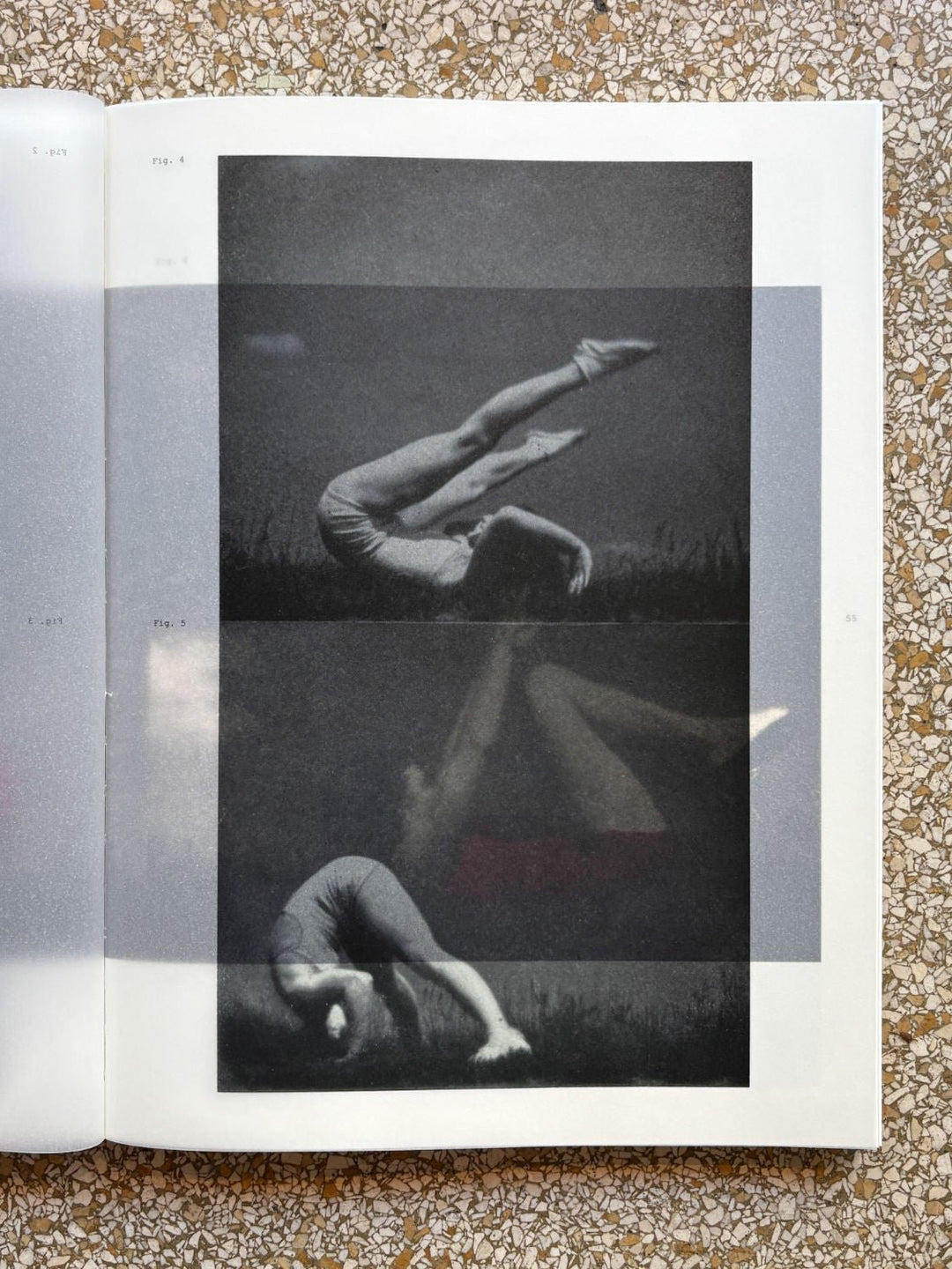 Apophenia 3 - In Medias Res by Julie Wolfe - Tipi bookshop
